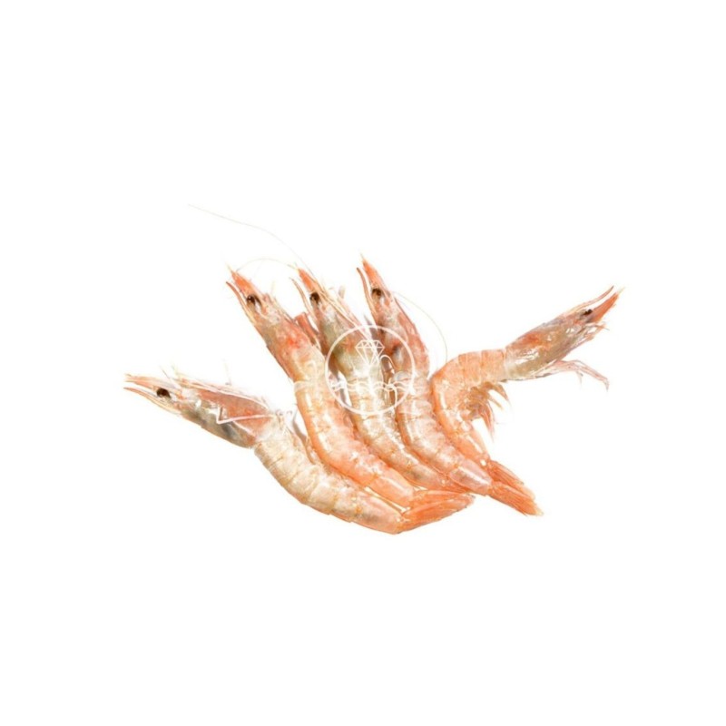 Comprar gamba blanca de Huelva especial