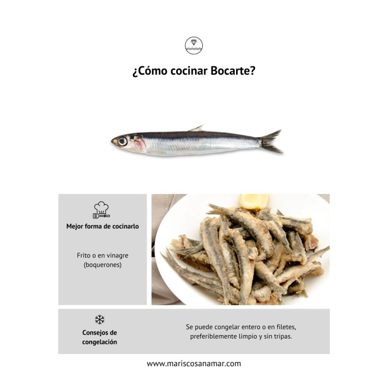 ¿Cómo cocinar bocarte? ¿Cómo congelar bocarte? Comprar bocarte, boquerón o anchoa online