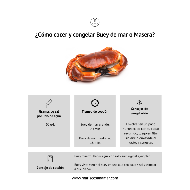 ¿Cómo cocer buey de mar? Tiempo de cocción del marisco ¿Cómo congelar buey de mar?