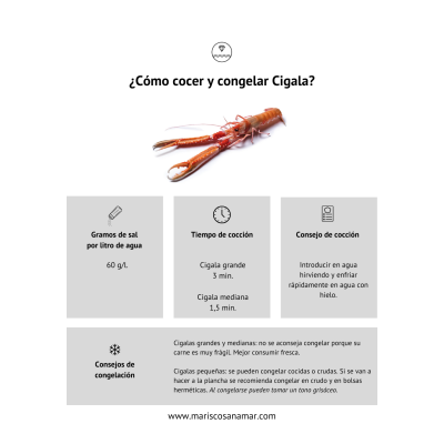 Cómo cocer centollo | Cómo congelar centollo | Cómo cocer marisco | cómo congelar marisco