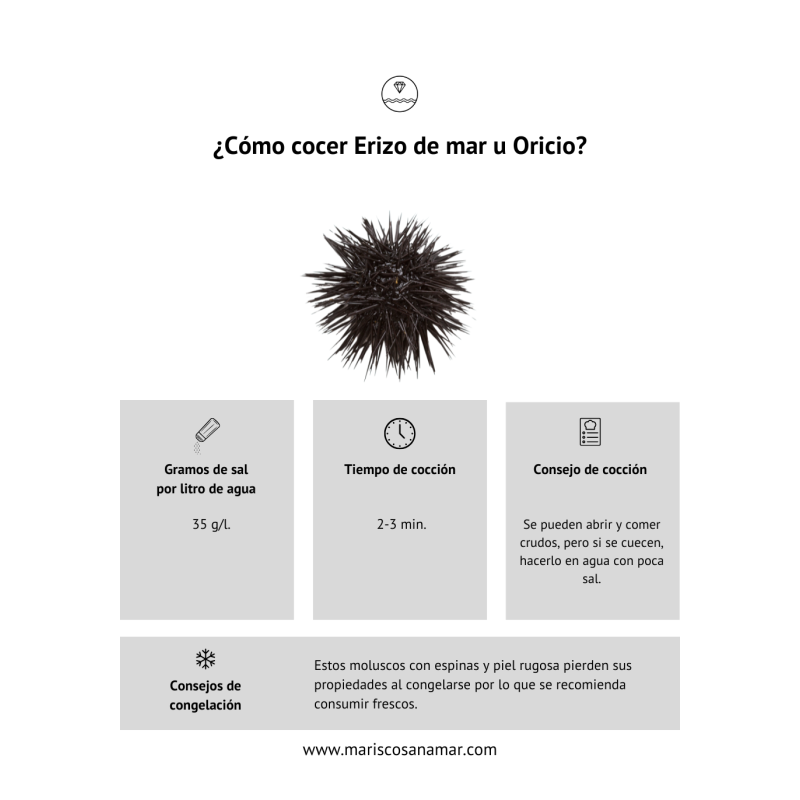 Cómo cocer erizos de mar u oricios | Cómo congelar erizos de mar u oricios | Cómo cocer marisco | cómo congelar marisco