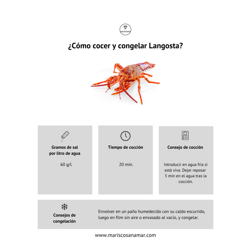 Cómo cocer langosta | Cómo congelar langosta| Cómo cocer marisco | cómo congelar marisco