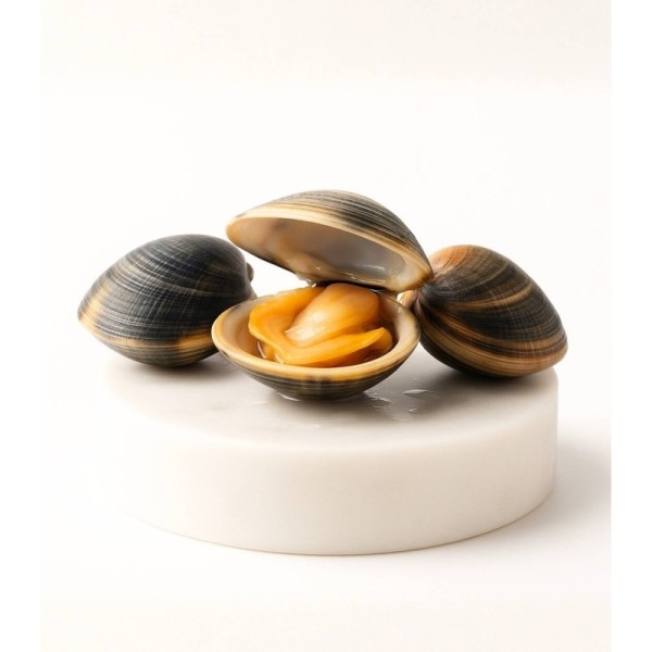 Comprar almeja fina gallega pequeña