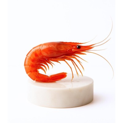 Comprar gamba roja de Palamós especial | Comprar marisco fresco online | ¡Comprar ahora!