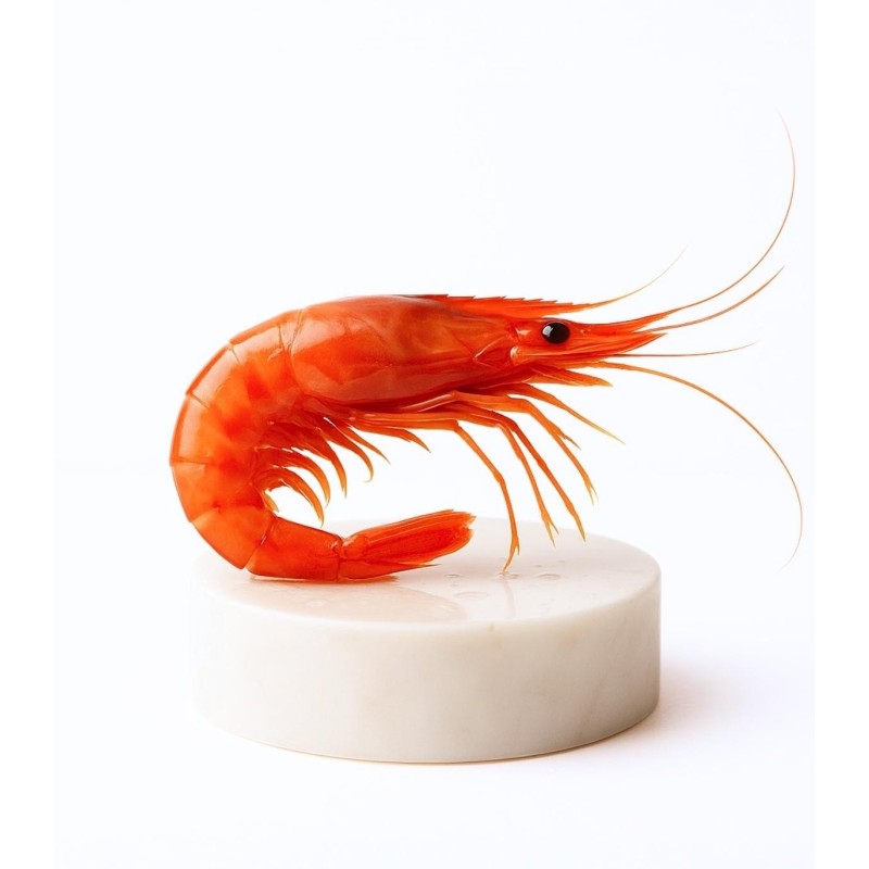 Comprar gamba roja de Palamós especial | Comprar marisco fresco online | ¡Comprar ahora!