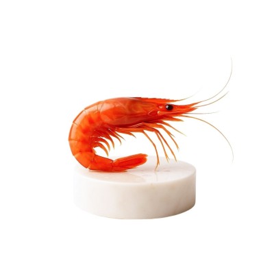 Comprar gamba roja de Palamós gorda | Marisco Gallego a domicilio | ¡Compra ahora!