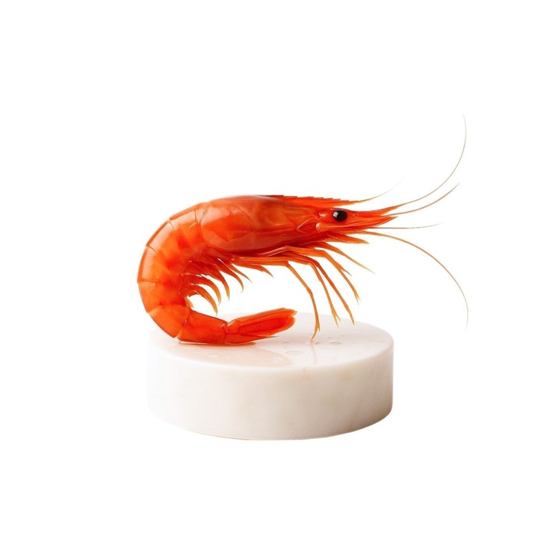 Comprar gamba roja de Palamós gorda | Marisco Gallego a domicilio | ¡Compra ahora!