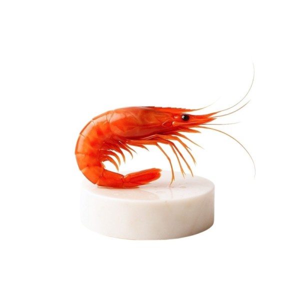 Comprar gamba roja de Palamós gorda | Marisco Gallego a domicilio | ¡Compra ahora!