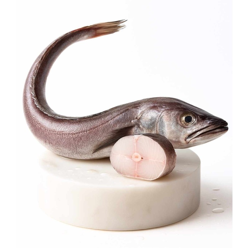 Comprar merluza | Mariscos Anamar | Envío en 24 horas