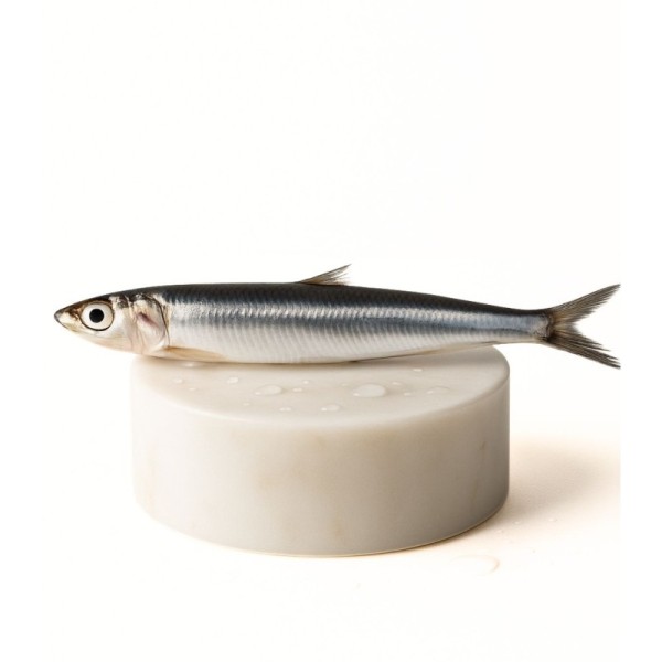 Comprar sardinas online | Pescadería online