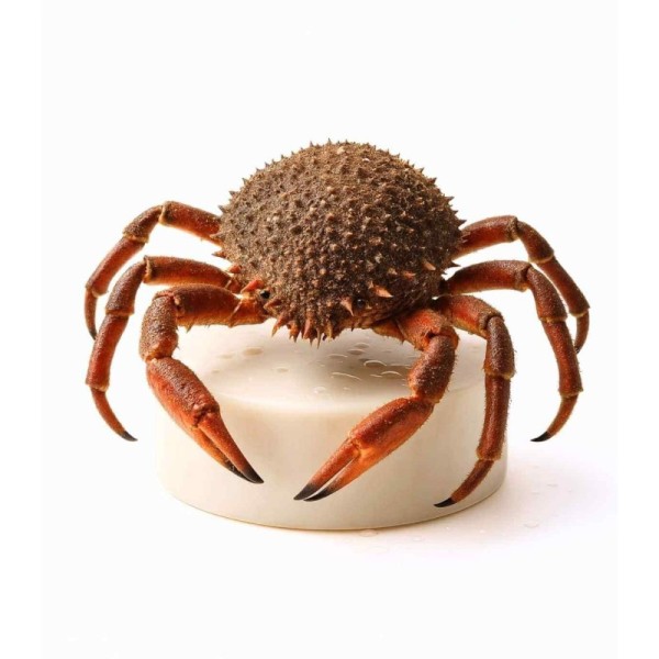 comprar marisco online | Comprar centolla gallega