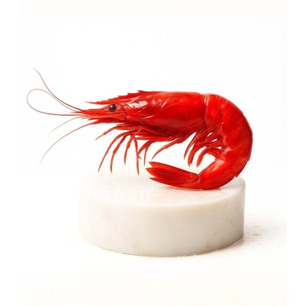 Carabinero fresco de Huelva