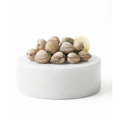 berberecho gordo gallego