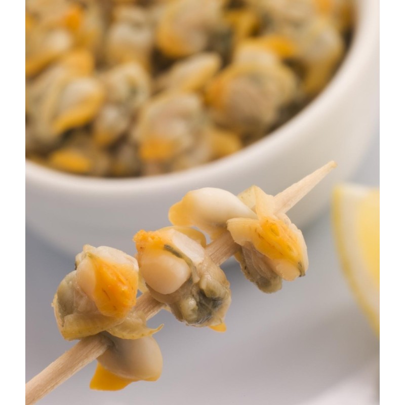 Comprar berberecho gordo online |Comprar marisco | ¡Envío en 24 horas!