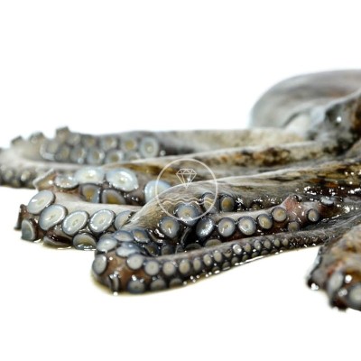 comprar Pata de pulpo gallego cocido