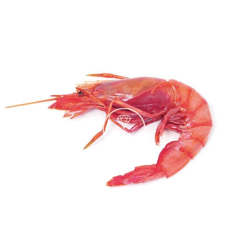 Gamba roja de Palamós