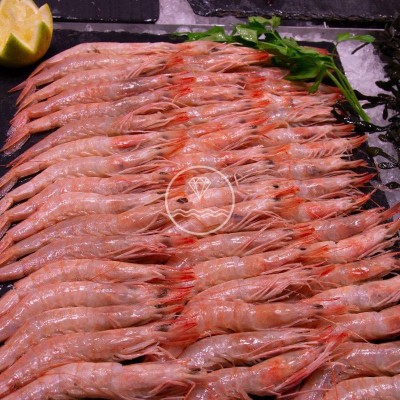 Gamba blanca de Huelva extra especial