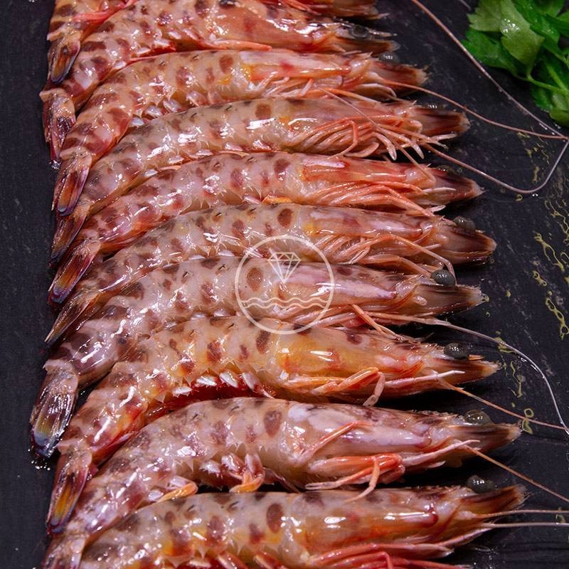Comprar langostino tigre de Huelva grande