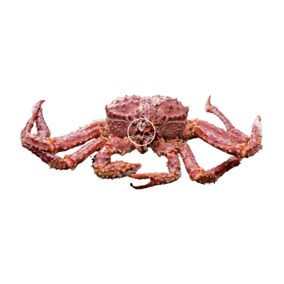 Comprar cangrejo real | Comprar marisco online