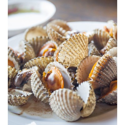 Comprar berberecho gordo online |Comprar marisco | ¡Envío en 24 horas!