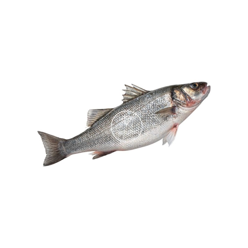 Comprar lubina online