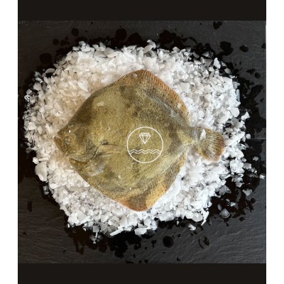 Comprar rodaballo salvaje | Mariscos Anamar | Envío en 24 horas