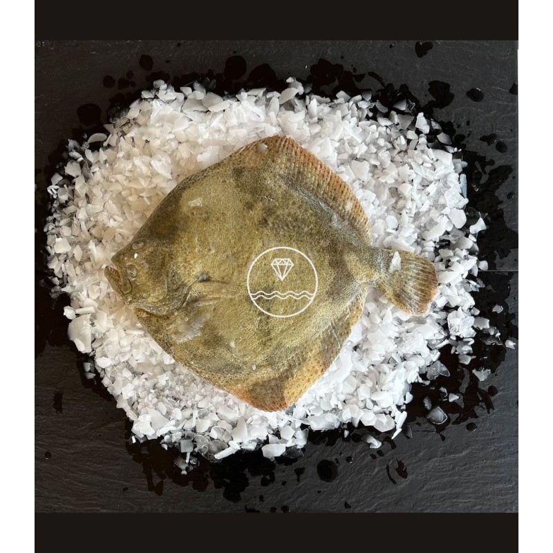 Comprar rodaballo salvaje | Mariscos Anamar | Envío en 24 horas