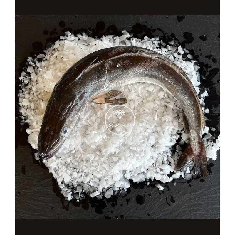 Comprar merluza online