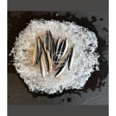 Comprar bocarte online