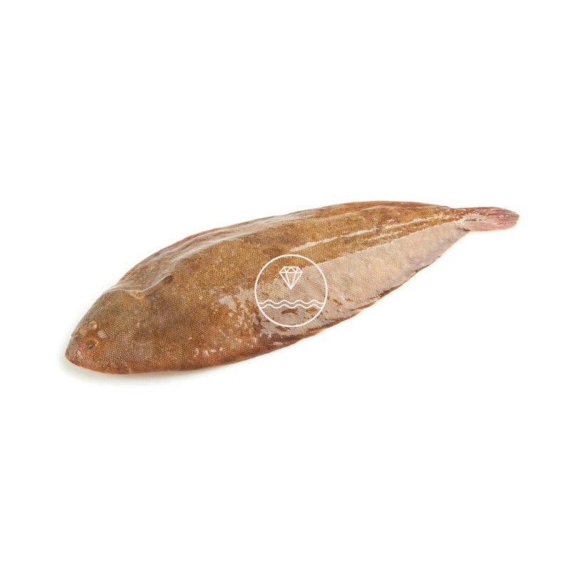 Comprar Lenguado online