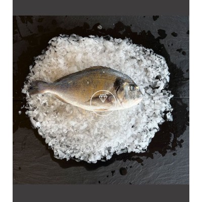 Comprar dorada online