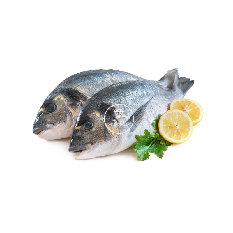 Comprar dorada online