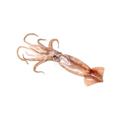 Comprar calamar online