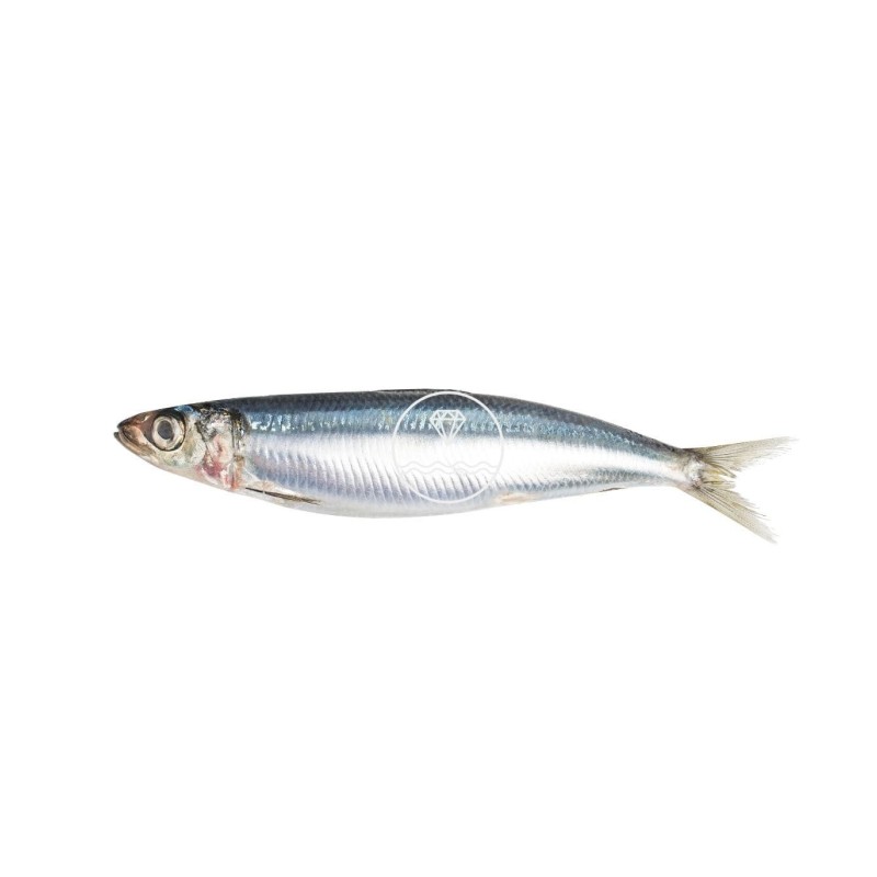 Comprar sardinas online | Pescadería online