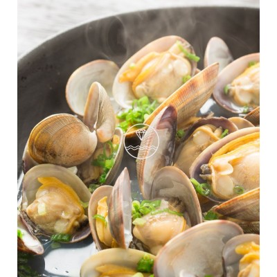 Comprar almeja fina gallega mediana