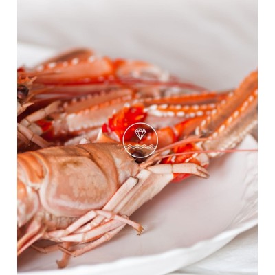 Comprar cigala viva del Cantábrico | Marisco Gallego a domicilio | ¡Compra ahora!