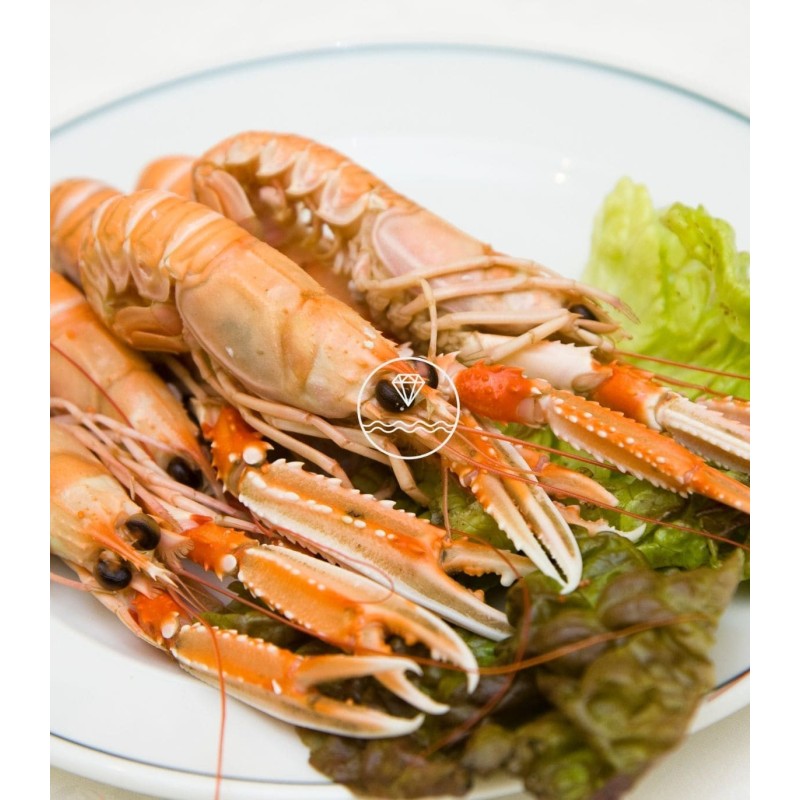 Comprar cigala del Cantábrico gorda