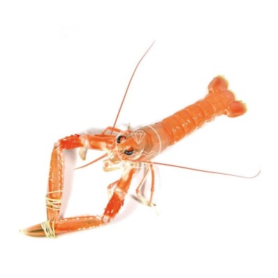 Comprar cigala del Cantábrico gorda