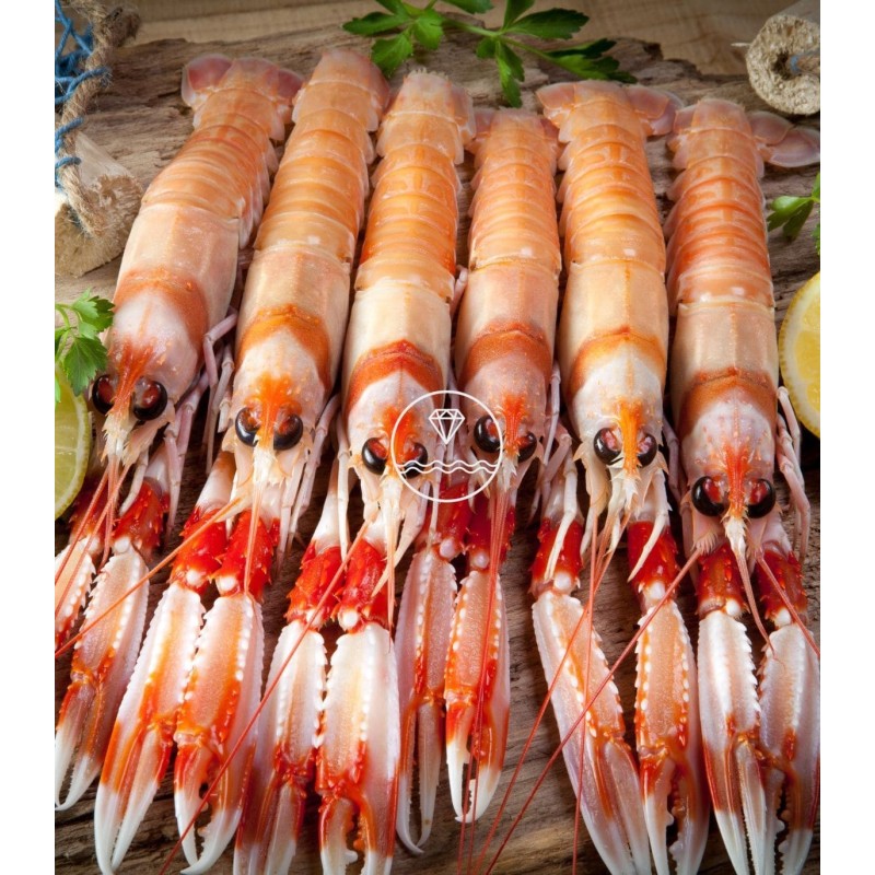 Cigala del Cantábrico mediana