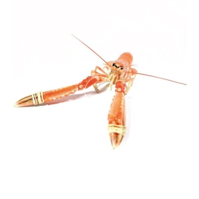 Cigala del Cantábrico mediana online