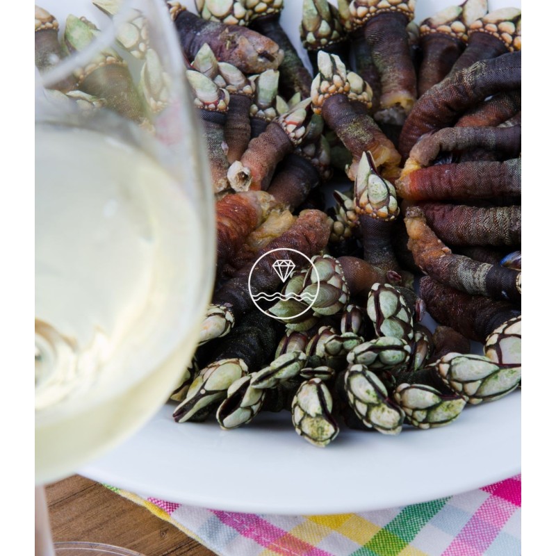 Comprar percebe gallego gordo | Comprar mariscos gourmet  | ¡Compra ahora!