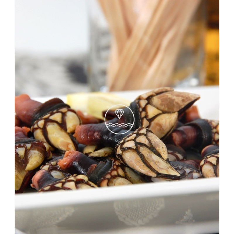 Percebe Gallego especial | Mariscos frescos | ¡Del mar a tu mesa!