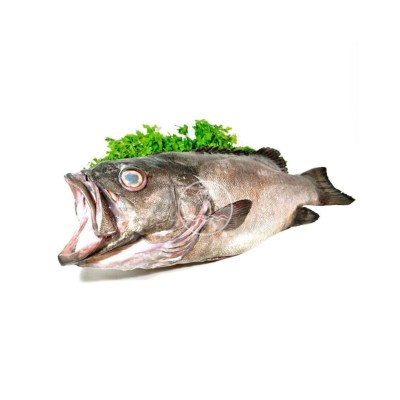 Comprar Mero | Comprar pescados online