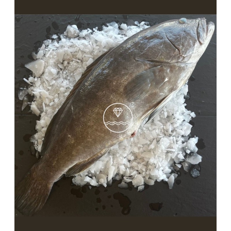 Comprar Mero | Comprar pescados online