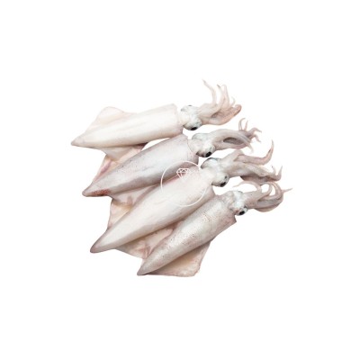 Comprar maganos online | Pescadería online