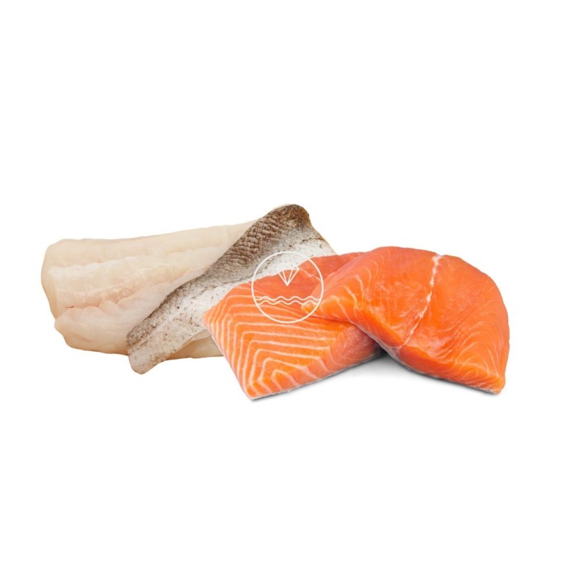 Pack de pescado limpio merluza y salmón | Pescadería online | Comprar pescado online