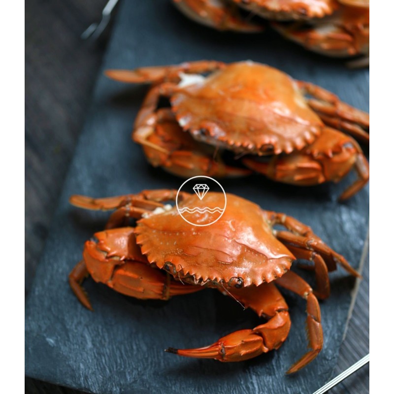 Nécoras de la Mariscada Brisa del Mar de Mariscos Anamar