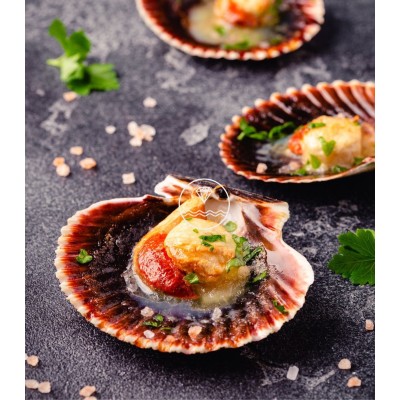 Sugerencia de presentación de zamburiñas de la Mariscada Brisa del Mar de Mariscos Anamar