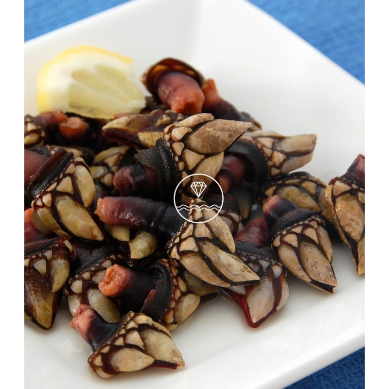 Sugerencia de presentación de los percebes de la Mariscada en familia de Mariscos Anamar