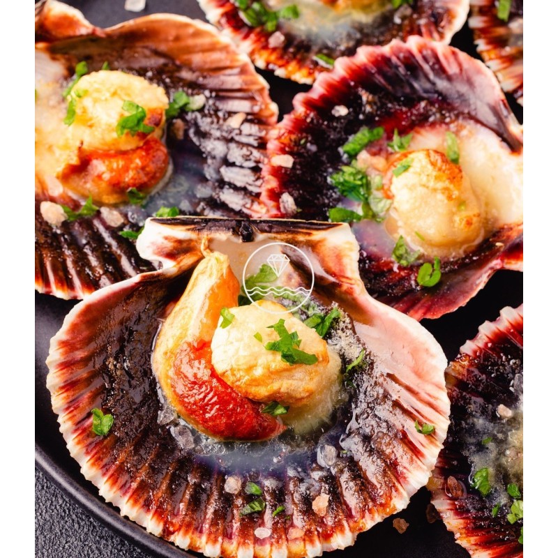 Sugerencia de presentación de las zamburiñas de la Mariscada Sabor Marítimo de Mariscos Anamar